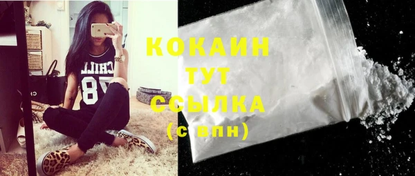 крисы Балахна